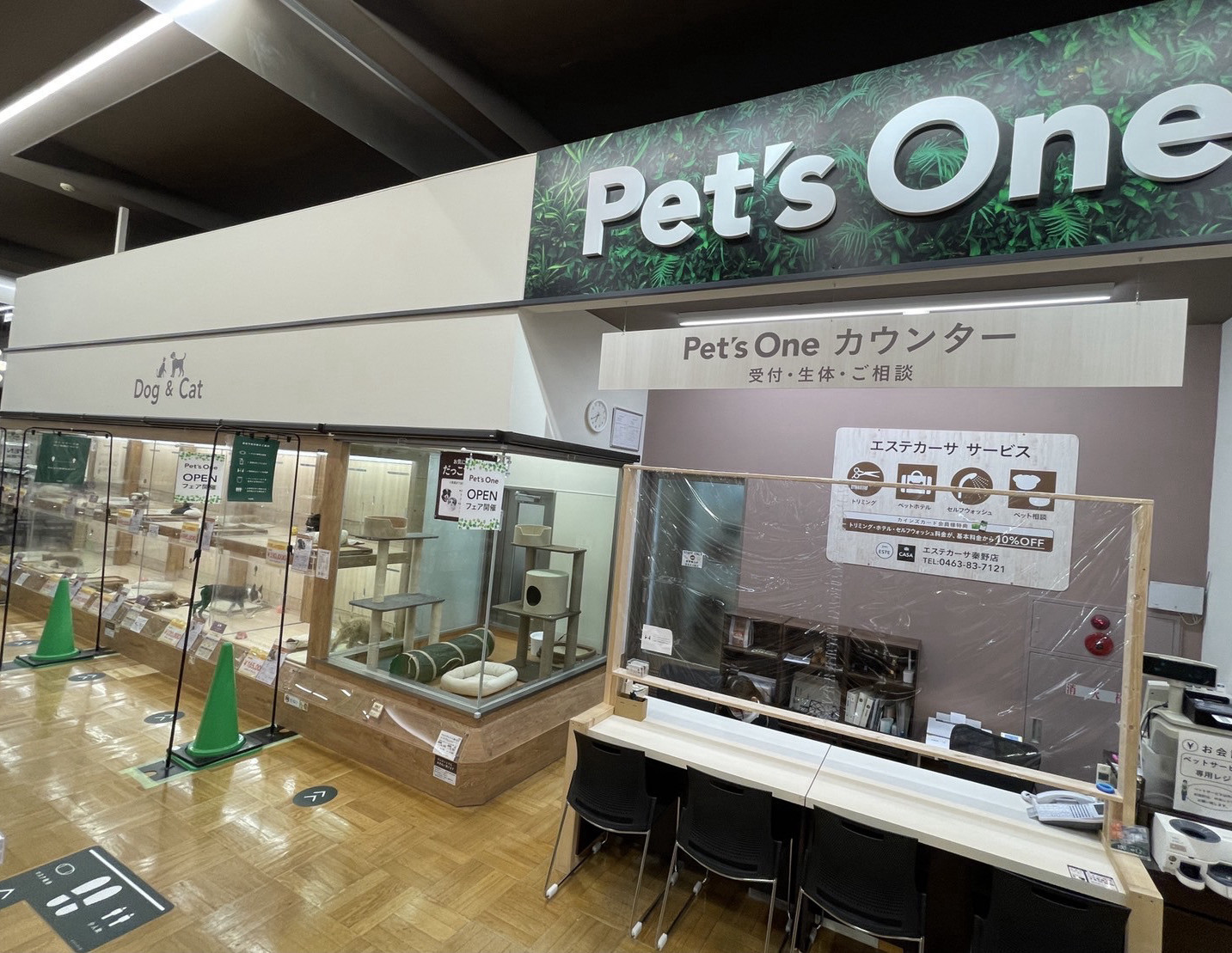 本日グランドオープンです リニューアルしたカインズ秦野店に遊びに来て下さいね Doggy Style Kitten Blue 総合ペットショップ 子猫専門ブリーダー