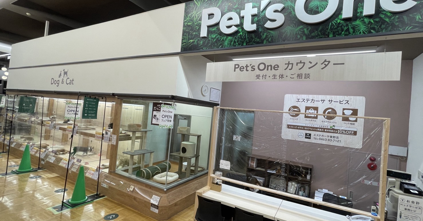 本日グランドオープンです リニューアルしたカインズ秦野店に遊びに来て下さいね Doggy Style Kitten Blue 総合ペットショップ 子猫専門ブリーダー