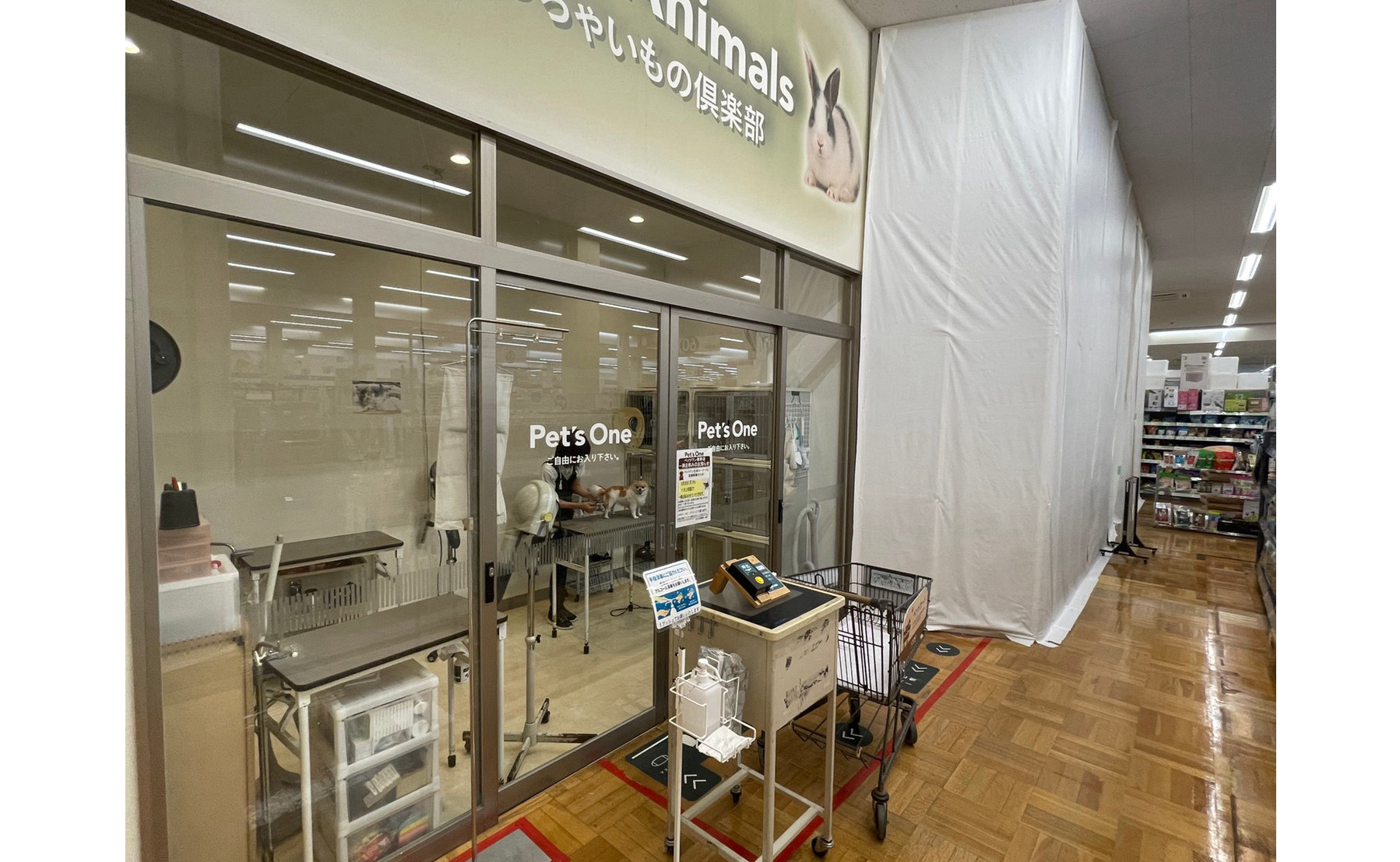 秦野店のトリミング室について Doggy Style Kitten Blue 総合ペットショップ 子猫専門ブリーダー