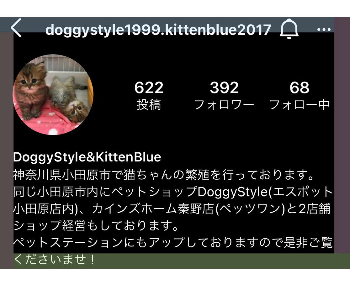 https://www.instagram.com/doggystyle1999.kittenblue2017/?utm_medium=copy_link