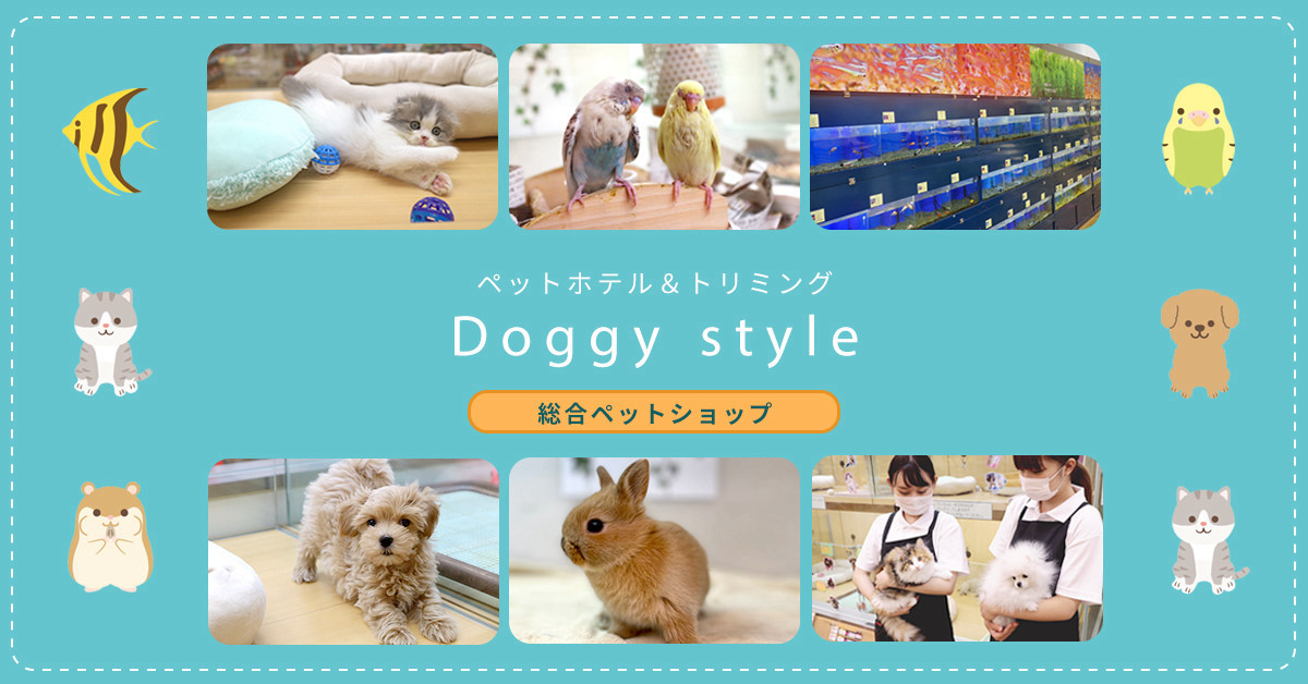 ドギースタイル エスポット小田原店(ペットショップ)のペットホテル写真